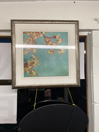 Victoria Used Items in stock